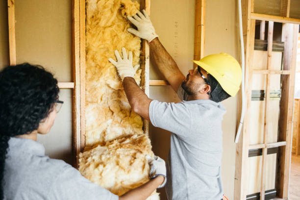 Best Attic Insulation Installation  in Avondale, PA